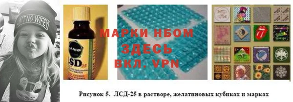 стаф Няндома