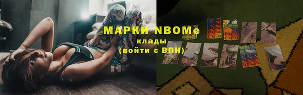 стаф Няндома