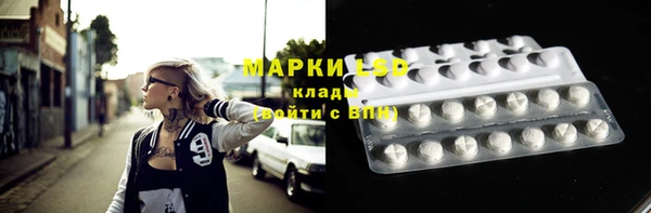 стаф Няндома