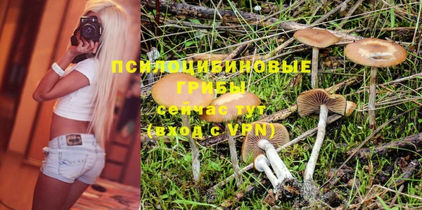стаф Няндома