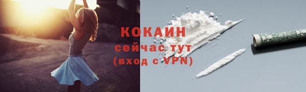 прущие грибы Ветлуга