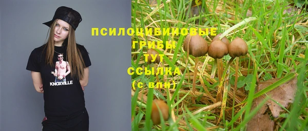 СК Осинники